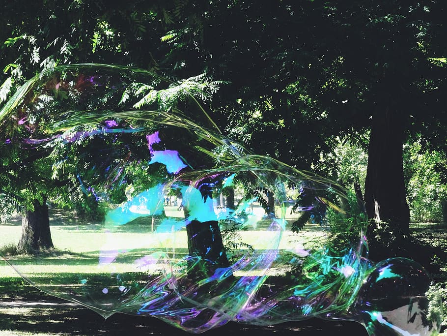 diversió, soapbubble, parc, verd, naturalesa, arbre, planta, creixement, bombolla, dia, persones reals, a l'aire lliure, aigua, estils de vida, gent, homes, grup de persones, multicolor, llum solar, moviment, terra, activitat d'oci, 5K