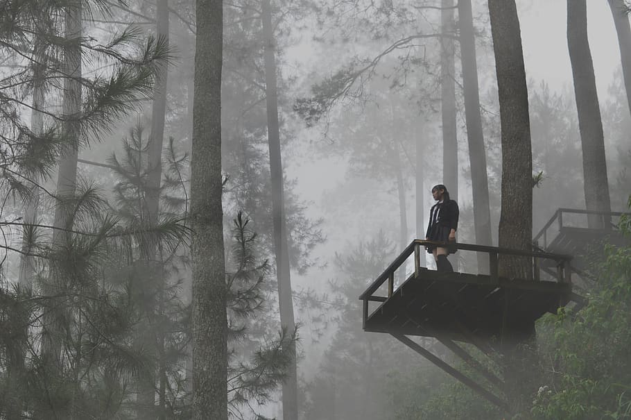 bosc de boira, fred, la llum del dia, medi ambient, boira, bosc, paisatge, naturalesa, a l'aire lliure, persona, escènic, arbres, plataforma de visualització, boscos, arbre, planta, una persona, longitud completa, persones reals, tronc de l'arbre, terra, tronc, estils de vida, de peu, activitat d'oci, dia, bellesa a la natura, tranquil·litat, vista lateral, 5K