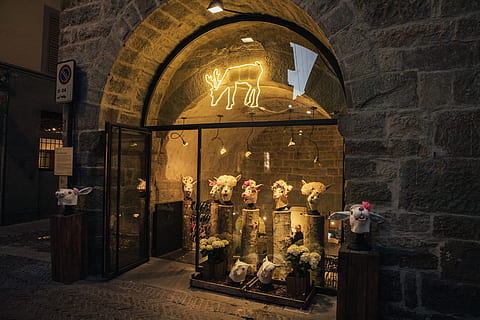 passarel·la, Camí, botiga, cripta, visualització de la finestra, llosa, vorera, paviment, boutique, porta, animal, ocell, roba, mercat, basar, pis, llambordes, passadís, llum, espiritualitat, religió, creença, representació humana, representació, arquitectura, lloc de culte, escultura, estructura construïda, semblança masculina, edifici, art i artesania, cap gent, il·luminat, estàtua, a l'interior, altar, visualització al detall, 5K, CC0, domini públic, lliure de regalies