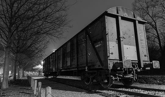 tren de càrrega, lyon, monlyon, musee, musee art contemporain, onlylyon, tren, tren de mercaderies, yoko ono, transport per ferrocarril, manera de transport, transport, arbre nu, pista, vies del ferrocarril, arbre, cel, tren - vehicle, naturalesa, cel clar, vehicle terrestre, dia, cap gent, a l'aire lliure, transport públic, planta, estacionari, pati de maniobra, cotxe de ferrocarril, 5K, CC0, domini públic, lliure de regalies