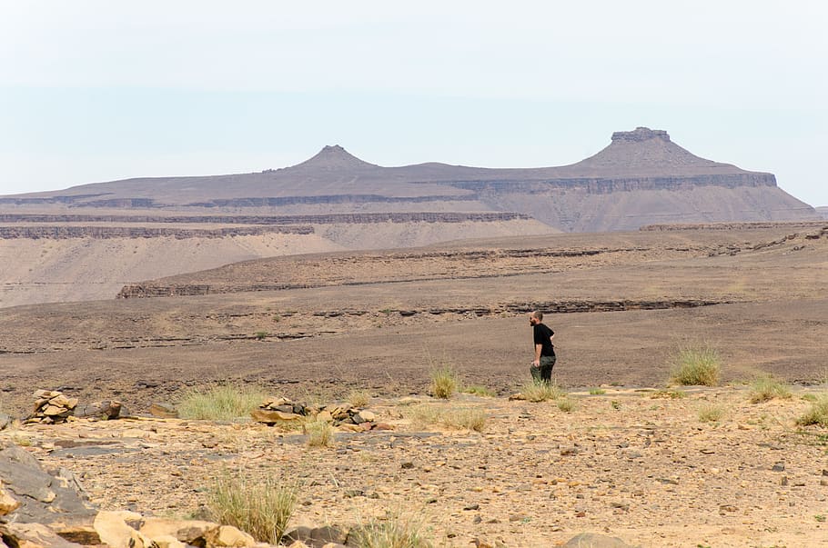 mauritania, landskab, scenics - natur, bjerg, miljø, en person, jord, skønhed i naturen, natur, dag, ørken, ikke-urbane scene, rolig scene, klima, fuld længde, ro, fjern, pattedyr, himmel, bjergkæde, udendørs, tørt klima, 4K