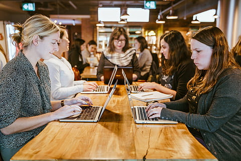 femmes, ordinateurs portables, autour, photo de table, école, codage, développement de logiciels, éducation, prof, adulte, table, groupe de personnes, la communication, affaires, séance, jeune adulte, Technologie sans fil, jeune femme, La technologie, à l'intérieur, portable, les femelles, ordinateur, utilisant un ordinateur portable, lien, personnes, unité, 4K, CC0, domaine public, libre de droits
