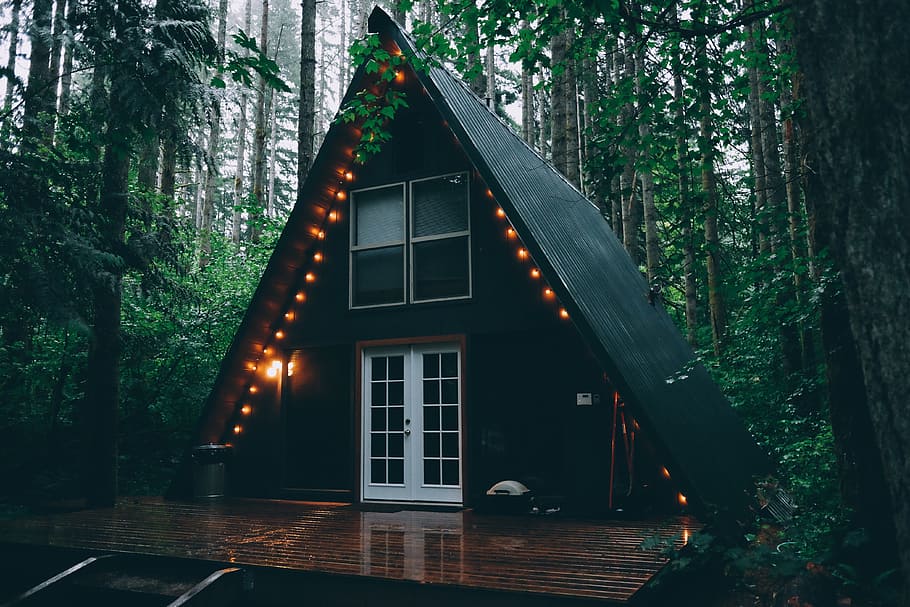 cabina, casa, bombetes, llums, bosc, boscos, naturalesa, campament, arbres, fulles, fusta, arquitectura, estructura construïda, arbre, exterior de l'edifici, edifici, planta, il·luminat, finestra, cap gent, a l'aire lliure, equips d’il·luminació, material de fusta, dia, barri residencial, color verd, vidre - material, taula, 4K