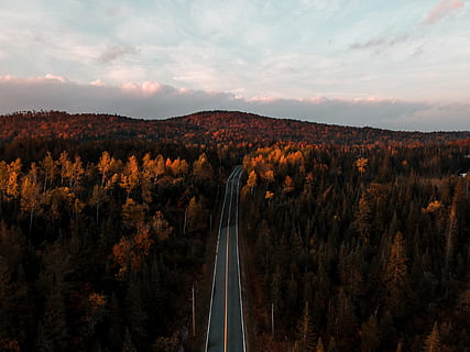 vial buit, arbre, carretera, planta, naturalesa, avet, abies, a l'aire lliure, conífera, asfalt, manera, cel, muntanya, paisatge, dji, bosc, aventura, drone, Canadà, escenics - natura, bellesa a la natura, núvol - cel, cap gent, escena no urbana, medi ambient, transport, tardor, escena tranquil·la, tranquil·litat, terra, creixement, remot, canvi, 4K, CC0, domini públic, lliure de regalies