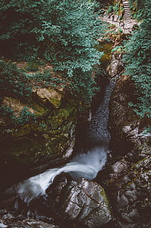 boom, natuur, stroom, rivier-, wijnstok, groen, mooi, kei, berg-, rots, glad, lange blootstelling, waterval, water, hout, Bos, scenics - natuur, rock - object, stromend water, beweging, solide, schoonheid in de natuur, geen mensen, wazig beweging, fabriek, dag, vloeiende, rotsformatie, buitenshuis, kracht in de natuur, vallend water, 8K, CC0, publiek domein, royaltyvrij