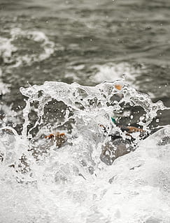 olas del mar, naturaleza, mar, agua, Oceano, al aire libre, rock, planta, Arroyo, corriente, tsunami, espuma, vida marina, arrecife, animal, montaña, Deportes, nadando, deporte, brote, movimiento, salpicaduras, nadie, día, deporte acuático, tierra, ola, playa, de cerca, belleza en la naturaleza, centrarse en primer plano, roca - objeto, agua que fluye, poder en la naturaleza, 2K, CC0, dominio público, libre de derechos