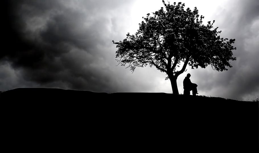 nit, núvol, espera, pensar, arbre, cel, fosc, paisatge, temps, atmosfera, silueta, núvol - cel, naturalesa, de peu, una persona, planta, estils de vida, persones reals, terra, bellesa a la natura, camp, tranquil·litat, escenics - natura, a l'aire lliure, homes, activitat d'oci, escena tranquil·la, 4K