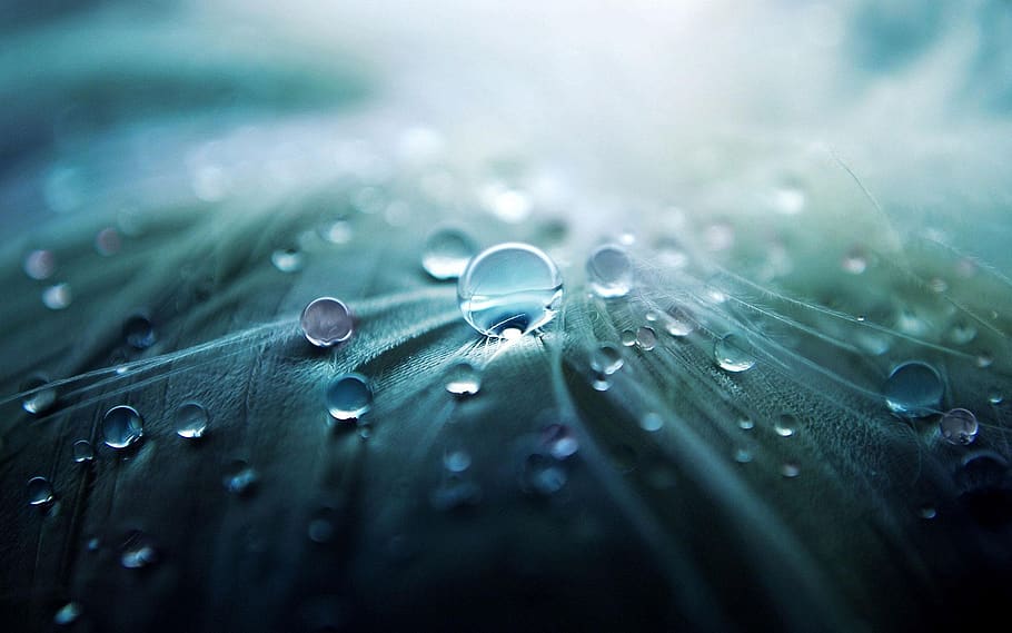 water droplets, gray, textile, art, blur, bubble, clean, clear, dew, drop, drop of water, droplet, light, liquid, macro, rain, wash, water, waterdrops, wet, close-up, selective focus, nature, leaf, raindrop, freshness, no people, plant part, extreme close-up, blue, outdoors, fragility, purity, rainy season, blade of grass, softness, soft focus, 1080P
