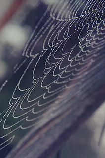 teranyina, web, textura, gotes, gotes d'aigua, primer pla, macro, enfocament selectiu, cap gent, patró, fons, fragilitat, marc complet, tèxtil, centrar-se en primer pla, a l'interior, art i artesania, ploma, natura morta, vulnerabilitat, dia, patró natural, artesania, suavitat, naturalesa, 5K, CC0, domini públic, lliure de regalies