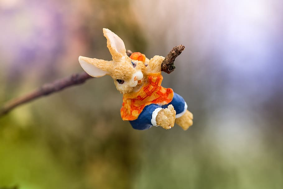 llebre, Pasqua, primavera, branca, pis, joguines, centrar-se en primer pla, primer pla, cap gent, representació, joguina, animal, flor, representació animal, dia, enfocament selectiu, naturalesa, temes d'animals, un animal, planta amb flors, joguina de peluix, art i artesania, a l'aire lliure, fauna animal, creativitat, penjant, porpra, 5K