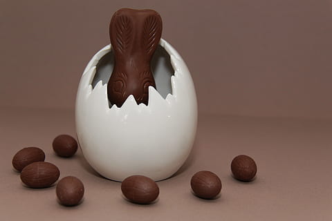 Pasqua, conill de Pasqua, ou de Pasqua, llebre, ou, xocolata, tracy, dolç, deliciós, gaudeix, benefici de, salutació de pasqua, decoració de pasqua, ous de Pasqua, tema de pasqua, orelles, marró, escotilla, a l'interior, menjar, menjar i beguda, tir de l'estudi, primer pla, cap gent, natura morta, representació, sol objecte, fons de colors, representació animal, frescor, inversió, benestar, Color blanc, taula, porquet guardiola, temptació, 8K, CC0, domini públic, lliure de regalies