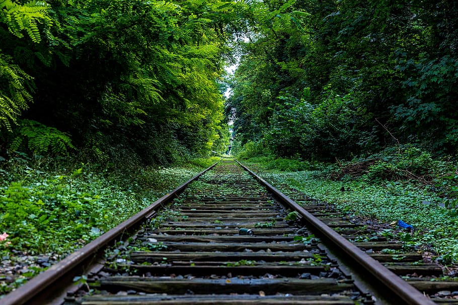zelená, tráva, stromy, les, železnice, železniční koleje, křoví, Příroda, rostlina, strom, směr, železniční trať, cesta vpřed, železniční dopravy, zelená barva, dráha, nikdo, přeprava, perspektiva, krása v přírodě, růst, den, přistát, klid, venku, listy, dlouho, paralelní, 5K