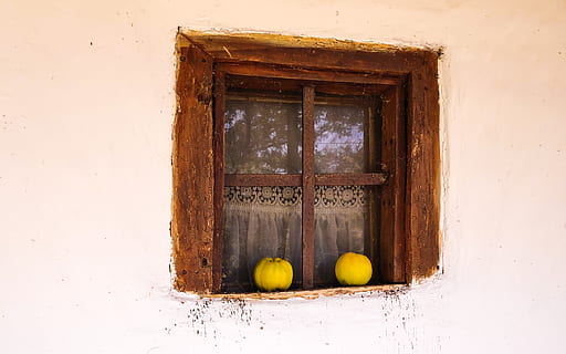 zwei, Gelb, Kürbisse, Fenster, Obst, доњи милановац, Serbien, lepenski vir, Gemüse, Tür, Haus, Zitrusfrucht, Lebensmittel, Pflanze, Glas, Jahrgang, heruntergewirtschaftet, alt, Nahansicht, Fensterscheibe, Vorhang, Natur, bekleidung, keine Leute, Wandbau - Funktion, gebaute Struktur, Holz - Material, die Architektur, Glas - Material, Gebäudehülle, Eingang, Essen und Trinken, Tag, Gebäude, gesundes Essen, transparent, draußen, 2K, CC0, gemeinfrei, lizenzfrei