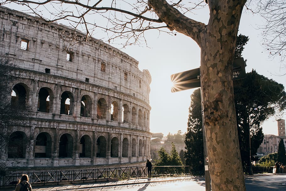 arbre sense fulles, coliseum, arbre, història, arquitectura, el passat, estructura construïda, cel, viatjar, antic, destinacions de viatge, arc, turisme, exterior de l'edifici, naturalesa, amfiteatre, antiga ruïna, planta, dia, cel clar, cap gent, civilització antiga, a l'aire lliure, columna arquitectònica, arquejat, arruïnat, història antiga, arqueologia, 5K