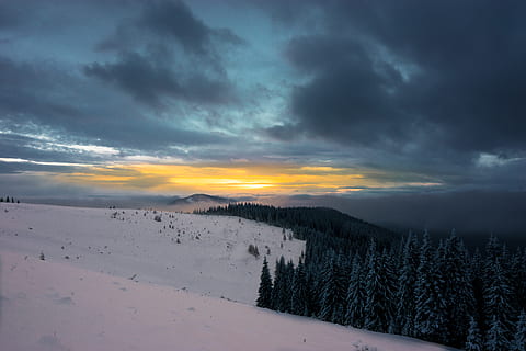 drzewa z polem śniegu, chmura - niebo, niebo, piękno natury, scenics - natura, zachód słońca, spokojna scena, spokój, zimowy, śnieg, zimna temperatura, scena pozamiejska, środowisko, Natura, krajobraz, żadnych ludzi, drzewo, idylliczny, wylądować, roślina, ośnieżona góra, 5K, CC0, domena publiczna, darmowe zdjęcia