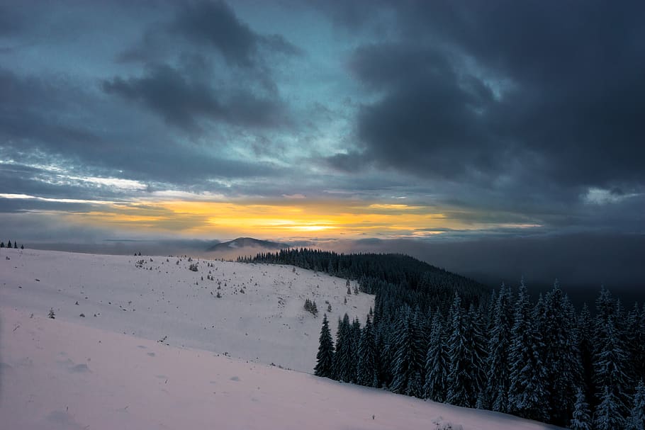 drzewa z polem śniegu, chmura - niebo, niebo, piękno natury, scenics - natura, zachód słońca, spokojna scena, spokój, zimowy, śnieg, zimna temperatura, scena pozamiejska, środowisko, Natura, krajobraz, żadnych ludzi, drzewo, idylliczny, wylądować, roślina, ośnieżona góra, 5K