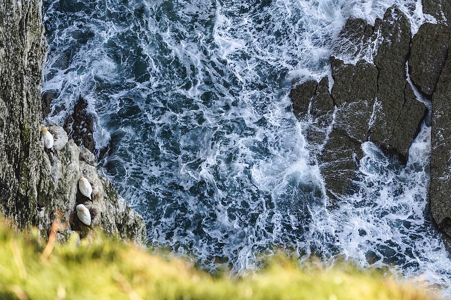 vand, hav, udendørs, ocean, natur, klippe, græs, klint, havbølger, Bempton, nesting, bølger, drone, antenne, ned, havet, kant, dramatisk, krak, klipper, bevægelse, skønhed i naturen, vandsport, sport, surfing, solid, jord, rock-objekt, dag, bølge, strøm, scenics - natur, sprøjt, magt i naturen, flydende vand, breaking, 5K