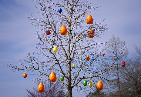 tree, easter eggs, colorful, spring, easter decorations, easter, egg, easter theme, easter greeting, low angle view, bare tree, branch, food, orange color, nature, celebration, sky, food and drink, citrus fruit, no people, plant, orange, orange - fruit, fruit, healthy eating, hanging, day, outdoors, chinese new year, festival, 5K, CC0, public domain, royalty free