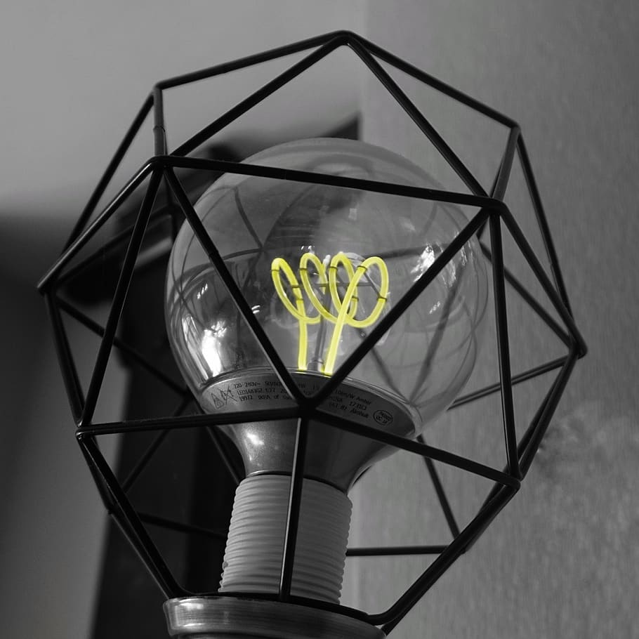 pære, lys, skelet, lampe, energi, elektricitet, udstråling, belysning, lyse, elektrisk, strøm, teknologi, glødende, pærer, belyst, inspiration, kreativ, tråd, glas, kreativitet, opfindelsen, ingen mennesker, indendørs, tæt på, plante, blomst, blomstrende plante, natur, belysningsudstyr, fokus på forgrunden, metal, blomsterhoved, glas - materiale, gul, design, Rose, form, murbygningsfunktion, blomsterstand, dag, skrøbelighed, elektrisk lampe, 2K