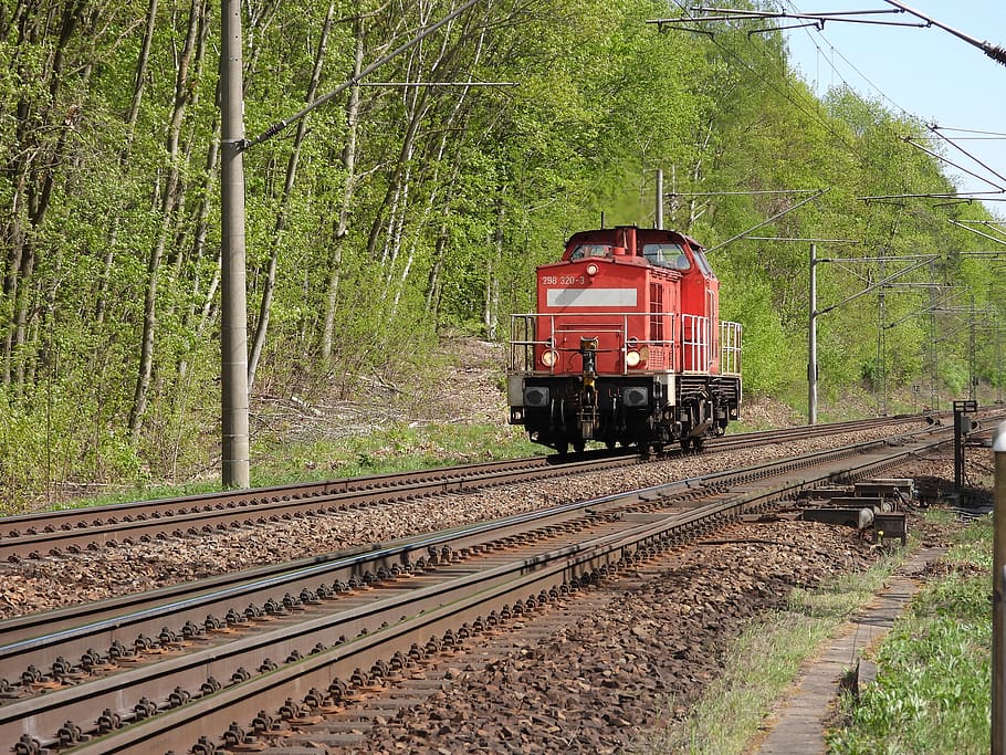shunter, pista, tren, transport per ferrocarril, transport, vies del ferrocarril, manera de transport, arbre, tren - vehicle, planta, vehicle terrestre, dia, naturalesa, cap gent, transport públic, a l'aire lliure, terra, en moviment, vermell, bosc, transport de mercaderies, 4K