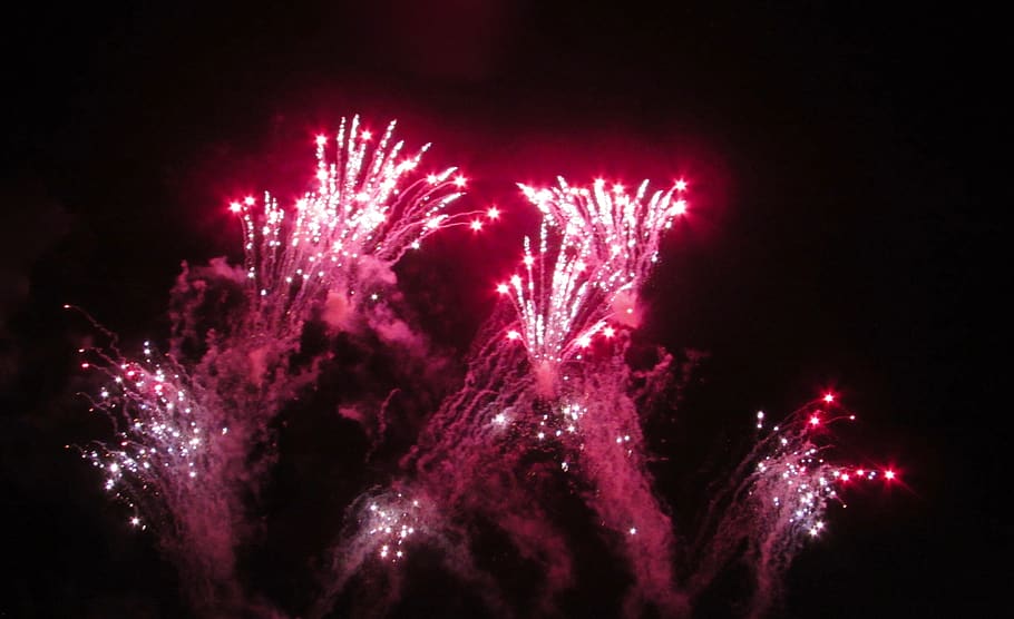 focs artificials, celebració, nit, moviment, exhibició de focs artificials, explosió, cel, esdeveniment, naturalesa, cap gent, il·luminat, multicolor, color rosa, cultura i entreteniment artístic, a l'aire lliure, porpra, vermell, vista d’angle baix, fosc, cap d'any, fons negre, focs artificials - objecte fet per l'home, explosiu, Pol · lució, 4K