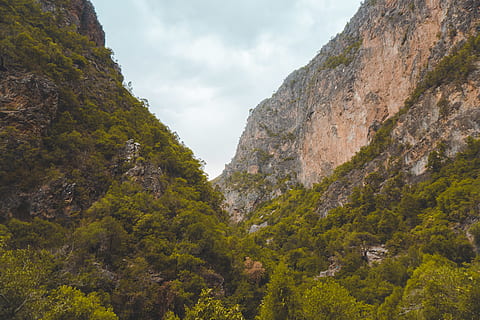 verde, copaci, rock formarea munte, stânci, lumina zilei, mediu inconjurator, pădure, peisaj, munţi, natură, parc, formațiuni rock, roci, pitoresc, plantă, copac, stâncă, Munte, scenice - natura, frumusețe în natură, formatie rock, obiect de rocă, cer, solid, zi, vedere unghiulară joasă, nici o persoana, creştere, o scenă liniștită, liniște, scenă non-urbană, teren, nor - cer, în aer liber, formare, erodate, 4K, CC0, domeniu public, fără drepturi de autor