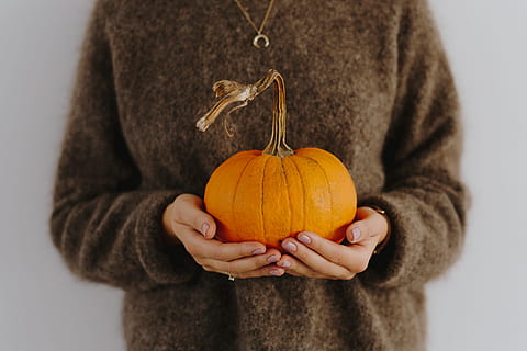 women, hands, sweater, holding, pumpkin, female, person, yellow, autumn, fall, orange, vegetable, halloween, one person, midsection, food and drink, food, front view, studio shot, healthy eating, indoors, child, orange color, standing, casual clothing, hand, warm clothing, 5K
