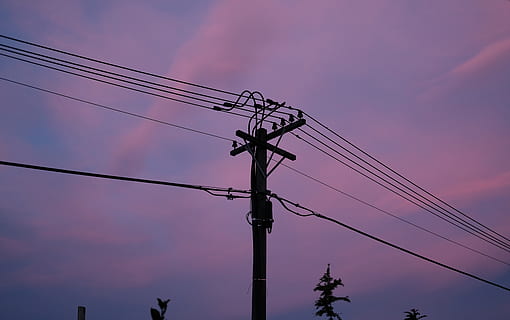 post de utilitate neagră, pol de utilitate, cablu, christchurch, noua Zeelanda, linii de înaltă tensiune, turnul de transmisie electrică, cer, Violet, noapte, întuneric, nor, seară, linie de alimentare, linia, roz, negru, siluetă, iluminat, răsărit, electricitate, combustibil și generarea de energie electrică, tehnologie, vedere unghiulară joasă, conexiune, stâlp electric, alimentare electrică, nor - cer, apus de soare, nici o persoana, amurg, natură, linie telefonică, culoarea roz, echipamente de iluminat, în aer liber, complexitate, stol de păsări, 5K, CC0, domeniu public, fără drepturi de autor