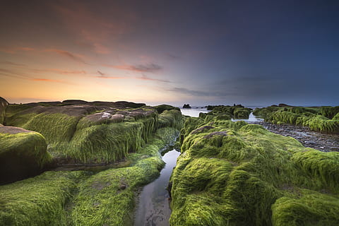 High-Angle-Fotografie, Fluss, Berge, Strand, Felsbrocken, Wolken, Wolkengebilde, Dämmerung, Abend, grünes Moos, See, Landschaft, Langzeitbelichtung, Moos, moosige Felsen, Natur, Ozean, draußen, Reflexion, Felsen, szenisch, Meer, seelandschaft, Himmel, Himmelslandschaft, Sonnenuntergang, Reise, Wasser, Schönheit in der Natur, Szenen - Natur, Ruhe, wolke - himmel, ruhige Szene, Land, Pflanze, keine Leute, grüne Farbe, idyllisch, Nicht-städtische Szene, Umgebung, Wachstum, Gras, 5K, CC0, gemeinfrei, lizenzfrei