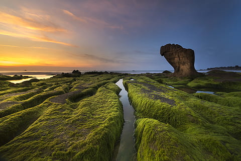 foto di paesaggio, isola, corpo, acqua, spiaggia, nuvole, Cloudscape, alba, crepuscolo, sera, erba, muschio verde, paesaggio, lunga esposizione, rocce muschiose, natura, oceano, all'aperto, riflessione, formazione rocciosa, rocce, panoramico, mare, paesaggio marino, riva del mare, cielo, skyscape, estate, sole, tramonto, viaggio, bellezza nella natura, scenics - natura, nuvola - cielo, terra, scena tranquilla, la tranquillità, colore verde, idilliaco, nessuno, pianta, scena non urbana, orizzonte, orizzonte sull'acqua, 5K, CC0, dominio pubblico, privo di copyright