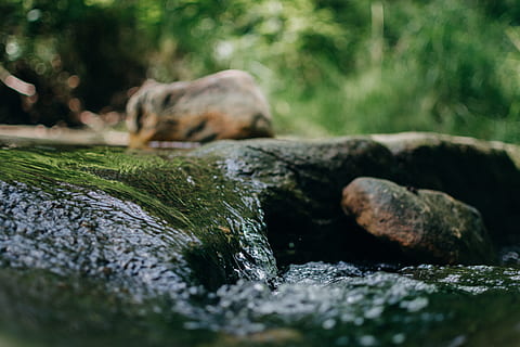 fotografia time lapse, fiume, sfocatura, ambiente, flusso, foresta, erba, verde, paesaggio, muschio, in movimento, natura, all'aperto, parco, rocce, panoramico, piccolo, pietra, pietre, ruscello, viaggio, alberi, acqua, cascata, bagnato, messa a fuoco selettiva, temi animali, animale, fauna selvatica, mammifero, un animale, roccia, roccia - oggetto, solido, nessuno, rilassamento, giorno, animali allo stato selvatico, addormentato, sdraiarsi, vertebrato, pianta, albero, riposo, foca, napping, 5K, CC0, dominio pubblico, privo di copyright