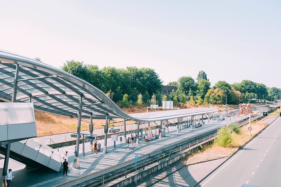 alberi verdi, costruzione, architettura, amsterdam, strada, finestra, lucernario, Olanda, modo, persona, viaggio, trasporto, piattaforma, curva, traccia, design moderno, macchina, rampa, natura, scenario, albero, pianta, cielo, giorno, acqua, mezzi di trasporto, struttura costruita, persone accessorie, modo di trasporto, ringhiera, all'aperto, cielo sereno, connessione, vetro - materiale, vista dall'alto, luce del sole, 5K