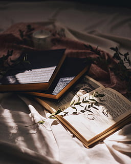 book, text, diary, table, furniture, wood, plywood, handwriting, calligraphy, desk, scroll, file folder, file binder, word, canvas, paper, document, page, flower, dahlia, publication, no people, indoors, still life, high angle view, communication, wood - material, bed, pen, education, selective focus, close-up, literature, 2K, CC0, public domain, royalty free