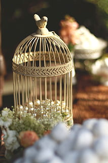 brass wrought container, birdcage, no people, still life, close-up, selective focus, focus on foreground, table, cage, day, nature, art and craft, outdoors, pattern, container, craft, dome, decoration, household equipment, glass - material, 2K, CC0, public domain, royalty free