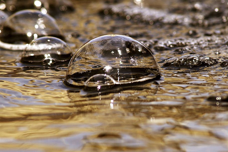 Blase, flach, Foto, Nahansicht, Makro, Wasser, selektiver Fokus, Ufergegend, keine Leute, Natur, Reflexion, Tag, Bewegung, draußen, transparent, Tier, Tierthemen, See, Vollbild, nass, fallen, Hintergründe, Reinheit, Oberflächenniveau, fließendes Wasser, 1080P