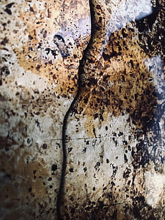 Wasser, Textur, Hintergrund, Pfütze, neutral, natürlich, Nahansicht, keine Leute, texturiert, Vollbild, Hintergründe, Muster, selektiver Fokus, Baumstamm, Tag, Kofferraum, braun, Baum, verwittert, Natur, alt, Pflanze, Detail, drinnen, Rau, 4K, CC0, gemeinfrei, lizenzfrei