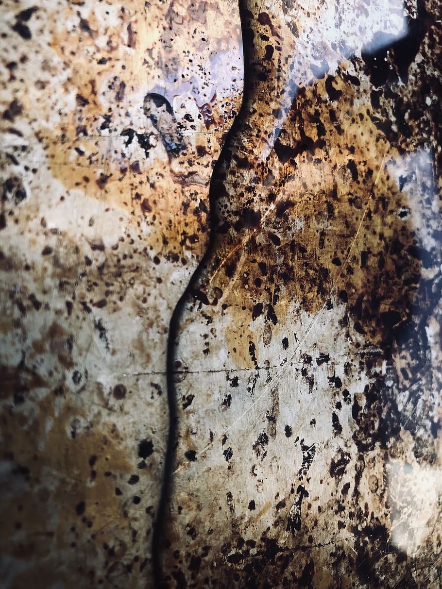 Wasser, Textur, Hintergrund, Pfütze, neutral, natürlich, Nahansicht, keine Leute, texturiert, Vollbild, Hintergründe, Muster, selektiver Fokus, Baumstamm, Tag, Kofferraum, braun, Baum, verwittert, Natur, alt, Pflanze, Detail, drinnen, Rau, 4K