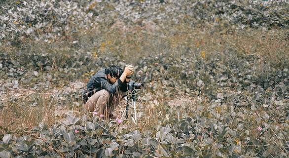 man, wearing, black, jacket, squatting, grass field, camera, field, grass, nature, person, photographer, plants, taking photos, young adult, plant, one person, adult, day, land, outdoors, autumn, landscape, environment, beauty in nature, young men, emotion, animal wildlife, clothing, 5K, CC0, public domain, royalty free