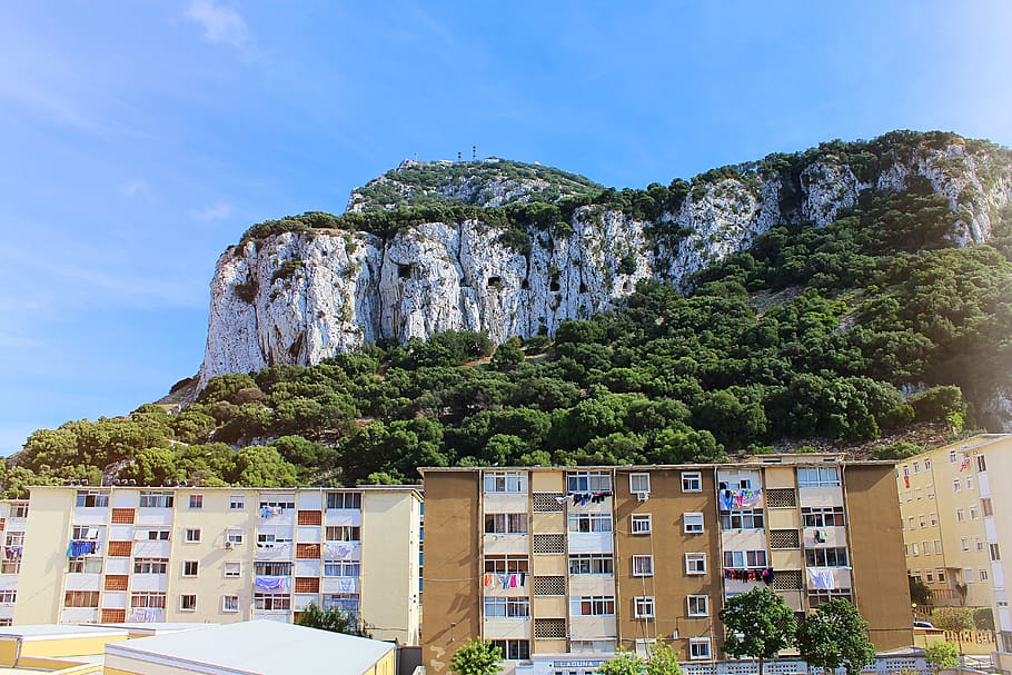 gibraltar, rock, muntanya, mico, Anglaterra, Costa, espanya, mediterrani, naturalesa, paisatge, cel, estiu, temps, color, bonic, humor, verd, blau, vacances, arquitectura, estructura construïda, exterior de l'edifici, edifici, dia, planta, llum solar, arbre, cap gent, formació de roca, rock - object, a l'aire lliure, ciutat, terra, sòlid, formació, 5K