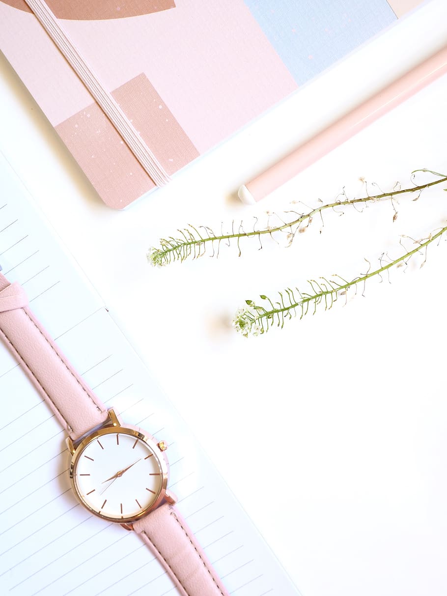 pisać, Biała przestrzeń, flatlay, biznes, kobiecy, różowy, prosty, minimalny, zegarek, dbanie o siebie, blog, dziennik, pisanie, papier, fioletowy, długopis, gabinet, stół, biały, Miejsce pracy, czysty, otwarty, nieruchomy, czas, zegar, wewnątrz, martwa natura, publikacja, białe tło, książka, żadnych ludzi, studio strzał, wysoki kąt widzenia, zbliżenie, instrument czasu, Edukacja, roślina, sprzęt, precyzja, ołówek, kolor różowy, akcesoria osobiste, tarcza zegara, 4K