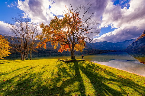szenisch, Aussicht, Golfplatz, Himmel, Sonnenuntergang, hell, Wolken, Dämmerung, Gras, Landschaft, Berge, Natur, Bäume, Wasser, Schönheit in der Natur, wolke - himmel, Baum, Pflanze, ruhige Szene, Ruhe, Szenen - Natur, Herbst, See, Nicht-städtische Szene, Umgebung, keine Leute, Sonnenlicht, idyllisch, Veränderung, draußen, 1080P, CC0, gemeinfrei, lizenzfrei