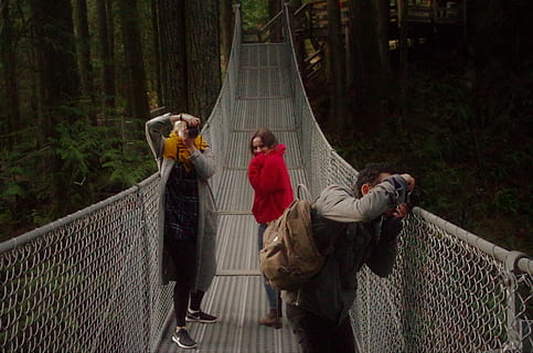 brug, aan het leren, praktijk, uitstapje, fotografisch, fotografie, fotograaf, foto, Bos, boom, vrouw, volledige lengte, volwassen, mensen, fabriek, vrouwtjes, land-, staand, bos-, twee personen, vrijetijdsbesteding, natuur, dag, kind, casual kleding, drie kwart lengte, kleding, buitenshuis, voetbrug, 4K, CC0, publiek domein, royaltyvrij