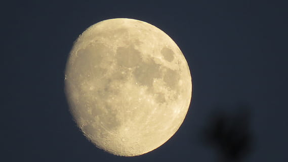 lua, cheio, céu, noite, espaço, astronomia, lua cheia, natureza, ninguém, beleza na natureza, lua planetária, superfície da lua, tranquilidade, scenics - natureza, círculo, forma geométrica, fechar-se, ao ar livre, cena tranquila, forma, esfera, astrologia, luar, 4K, CC0, domínio público, royalty free