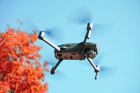 nero, grigio, fuco, telecamera, librarsi, rosso, blu, volare, mavic 2, dji mavic pro 2, dji mavic, marc schäfer, Prodotto, ritratto di drone, ritratto, albero, albero rosso, dji, mavic pro 2 zoom, zoom mavic, mavic pro, tecnologia, attrezzatura, robot, giocattolo, plastica, macchinario, mezzi di trasporto, volante, cielo, elicottero, veicolo aereo, futuristico, nessuno, all'aperto, singolo oggetto, giocattolo telecomandato, veicolo terrestre, aria, elica, telecomando, 5K, CC0, dominio pubblico, privo di copyright