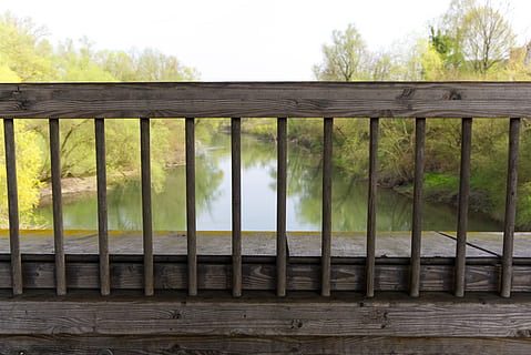 balustradă, grilă, protecţie, pod, pod de lemn, vechiul pod rin, tranziție, traversa, pădure, lemn, natură, departe, peisaj, pod pentru pietoni, ketch, Rinul, râu, apă, idilic, lemn - material, nici o persoana, zi, plantă, copac, în interior, arhitectură, barieră, limite, cer, absență, metal, gard, a închide, Securitate, Siguranță, 5K, CC0, domeniu public, fără drepturi de autor