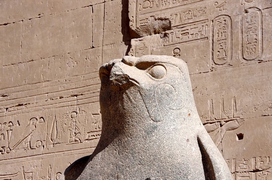 Egipte, edfu, temple, divinitat, horus, déu egipci, art, escultura, estàtua, granit, símbol, religió, antiguitat, viatjar, història, arquitectura, art i artesania, artesania, estructura construïda, el passat, talla - producte artesanal, creativitat, funció de construcció de parets, cap gent, dia, representació, vell, antic, representació humana, primer pla, material de pedra, civilització antiga, exterior de l'edifici, a l'aire lliure, talla, columna arquitectònica, baix relleu, 4K