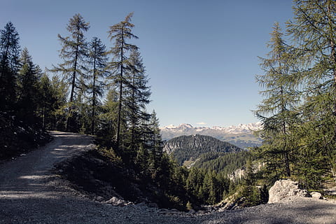 Austràlia, lienz, arbre, planta, cel, muntanya, bellesa a la natura, tranquil·litat, escenics - natura, escena tranquil·la, naturalesa, escena no urbana, cel clar, dia, creixement, cap gent, terra, paisatge, medi ambient, idíl·lic, Serra, el camí a seguir, a l'aire lliure, pi, arbre de coníferes, 4K, CC0, domini públic, lliure de regalies