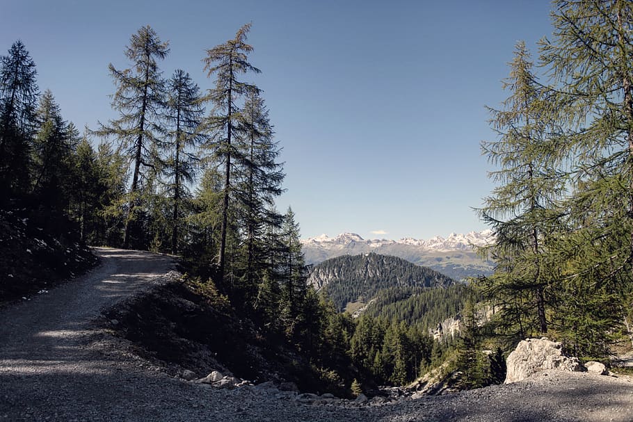 Austria, Lienz, albero, pianta, cielo, montagna, bellezza nella natura, la tranquillità, scenics - natura, scena tranquilla, natura, scena non urbana, cielo sereno, giorno, crescita, nessuno, terra, paesaggio, ambiente, idilliaco, catena montuosa, la strada davanti, all'aperto, Pino, albero di conifere, 4K