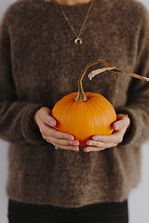 women, hands, sweater, holding, pumpkin, female, person, yellow, autumn, fall, orange, vegetable, halloween, midsection, one person, celebration, food, food and drink, indoors, standing, orange color, front view, focus on foreground, human body part, casual clothing, lifestyles, close-up, holiday - event, jack o' lantern, hand, 4K