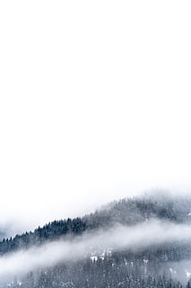 mlha horské tapety, strom, rostlina, abies, jedle, venku, Příroda, courchevel, Francie, courchevel 1850, mlha, sníh, jehličnatý strom, nebe, hd, krásná krajina, hledisko, scéna s oblaky, Discoverlandscape, stromy, tapeta na zeď, kopie prostor, krása v přírodě, scenics - příroda, zimní, studená teplota, nikdo, životní prostředí, klid, klidné scény, den, mimoměstské scény, měkkost, sněží, moci, 5K, CC0, veřejná doména, bez autorských práv